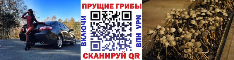 Псилоцибиновые грибы ЛСД  OMG зеркало  Починок  купить наркотик 